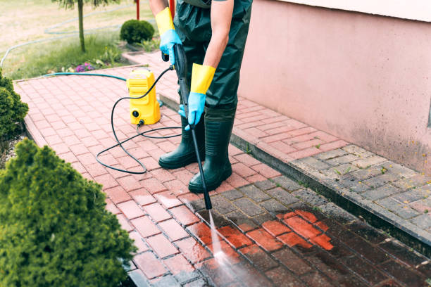 Best Residential Pressure Washing Services  in Carleton, MI