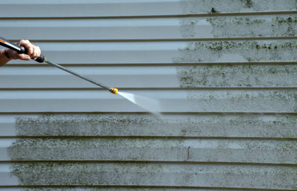 Best Affordable Pressure Washing  in Carleton, MI