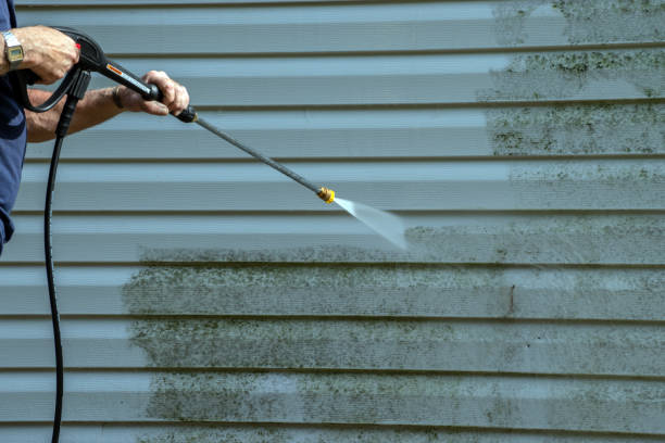 Best Pressure Washing Estimates  in Carleton, MI