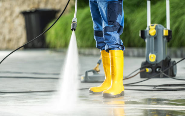 Best Residential Pressure Washing Services  in Carleton, MI