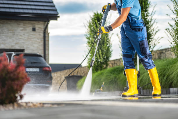 Best Local Pressure Washing Services  in Carleton, MI