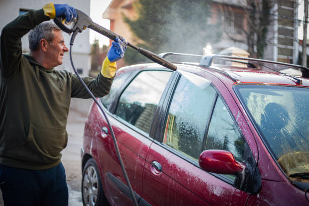 Best Roof Pressure Washing  in Carleton, MI