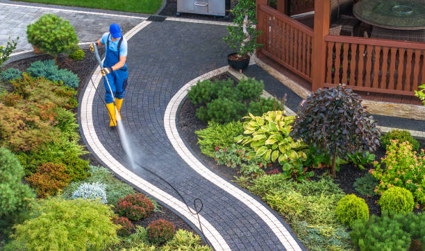 Best Pressure Washing Patio  in Carleton, MI